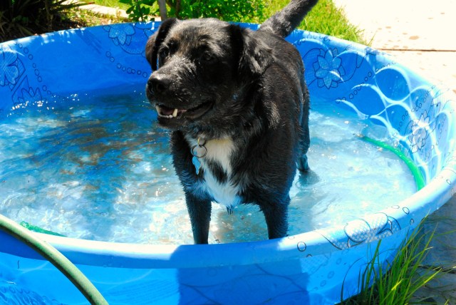 grizzly adams day 1 edited