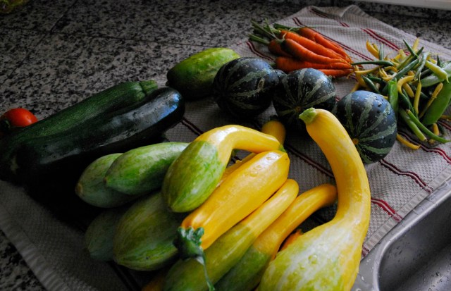 grizzly adams day 7 edited