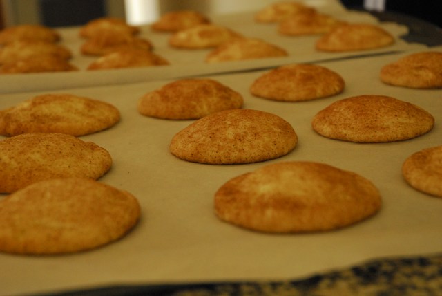 snickerdoodle 12