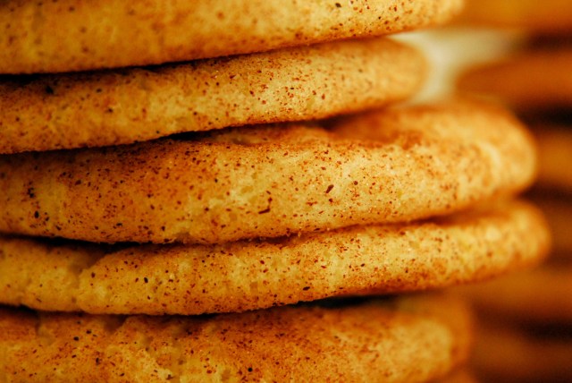 snickerdoodle 13 edit