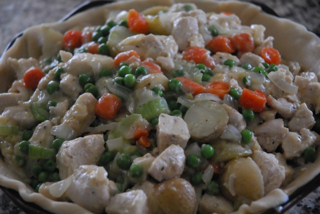 chicken pot pie 14