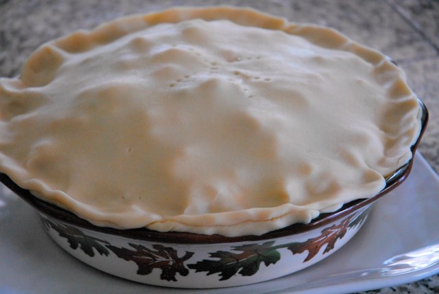 chicken pot pie 15 edited