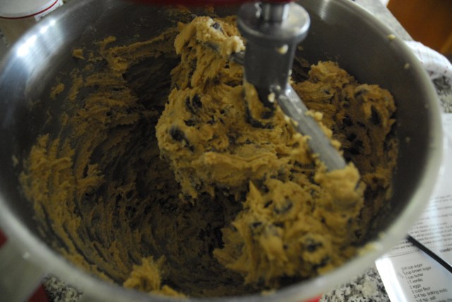 chocolate chip cookies 4