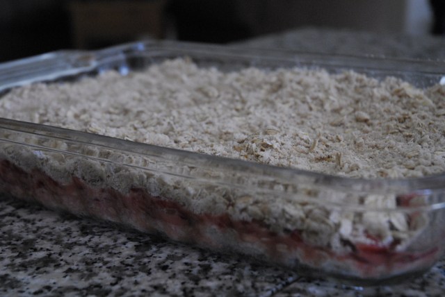 strawberry oatmeal bars 10