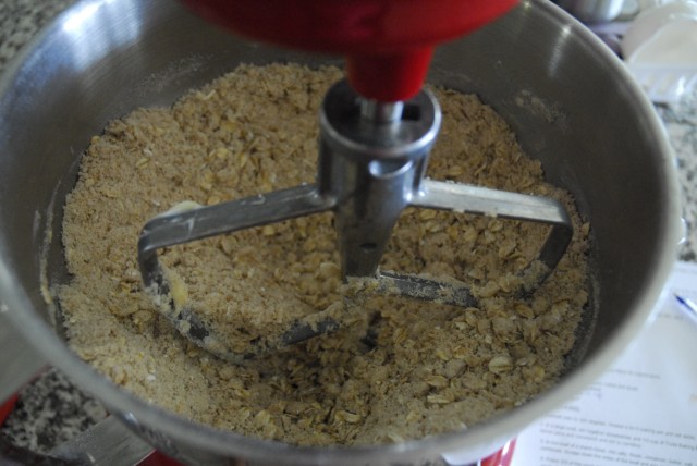 strawberry oatmeal bars 7