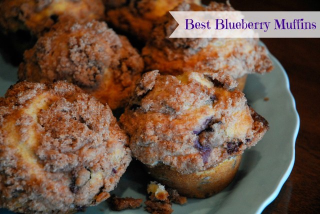 blueberry muffins 1 edited