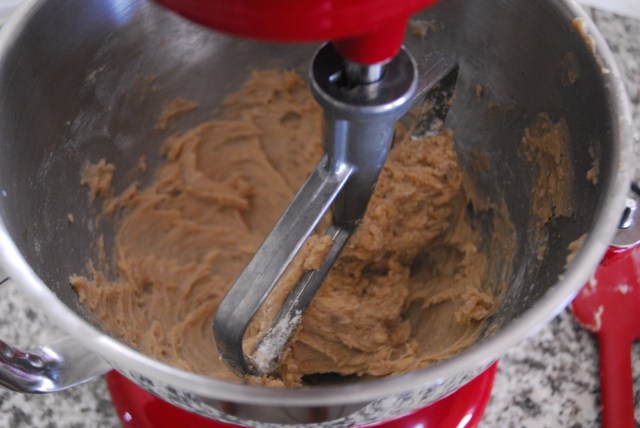 chocolate chip oatmeal bars 5