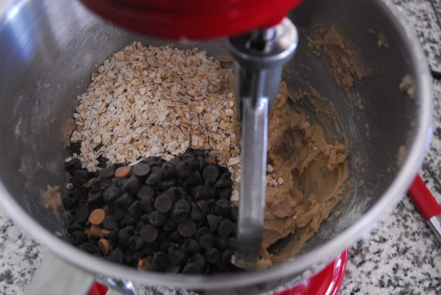 chocolate chip oatmeal bars 6