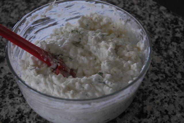 veggie lasagna finals 6