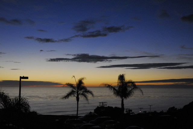 travis college view 2