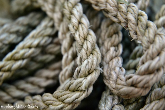 picture a day intro post 2 final