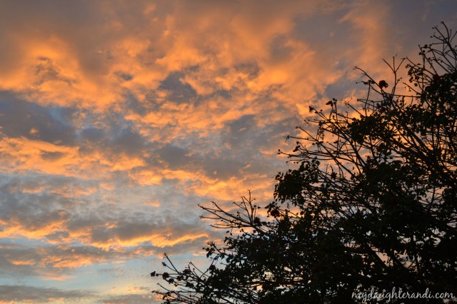 My Daughter and I Sunset picture 1-28-14